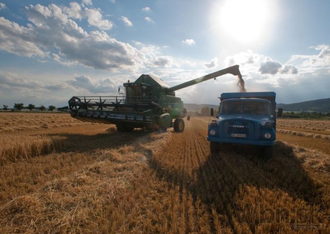 Zatva pole obilie polnohospodarstvo traktor