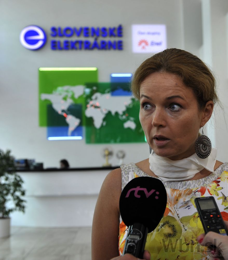 Policajná razia v Slovenských elektrárňach