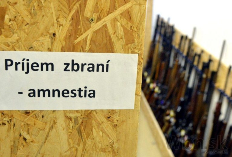 Amnestia zbran vrazda