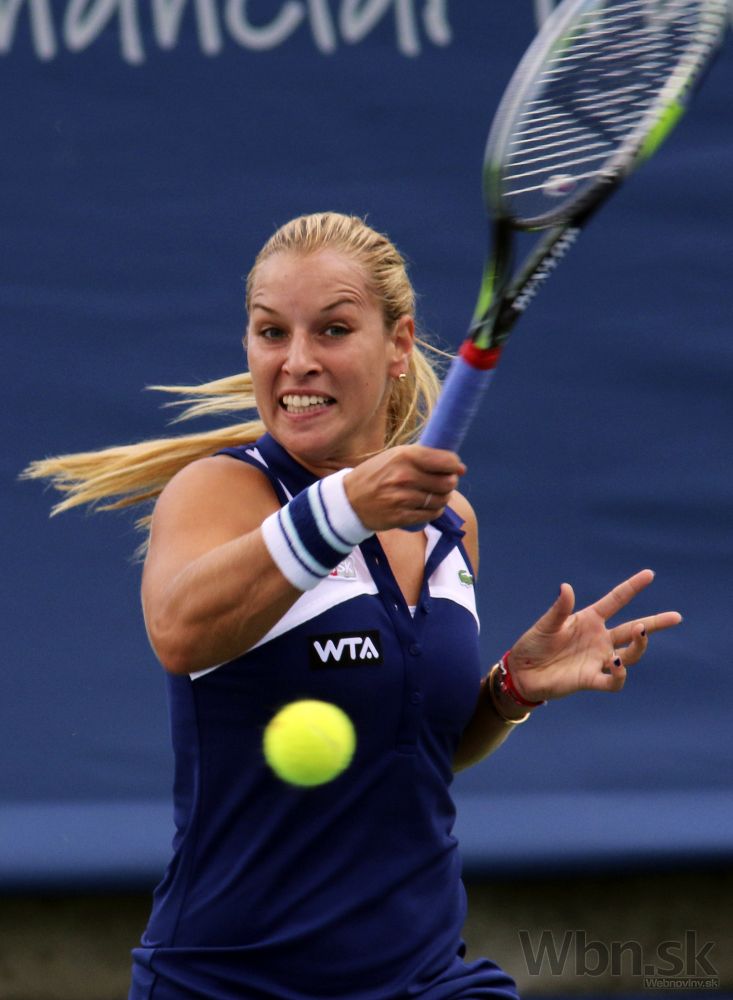 Cibulkova