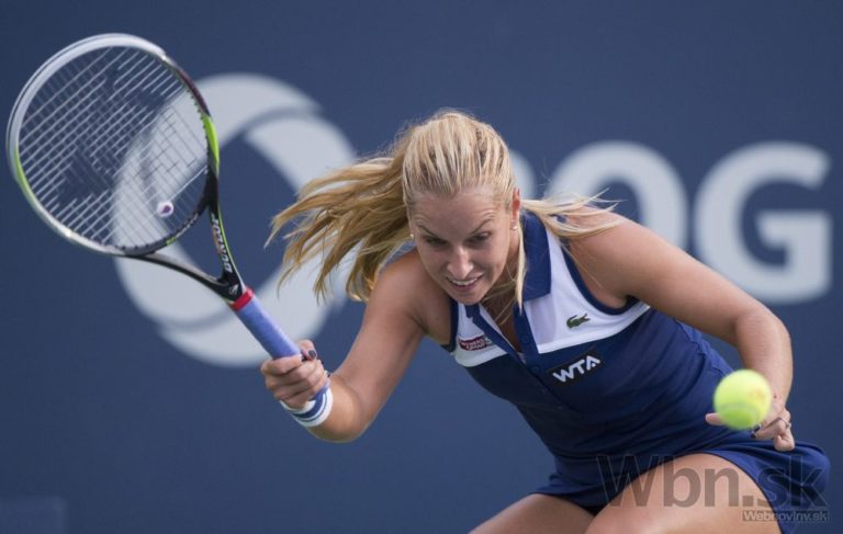 Cibulkova