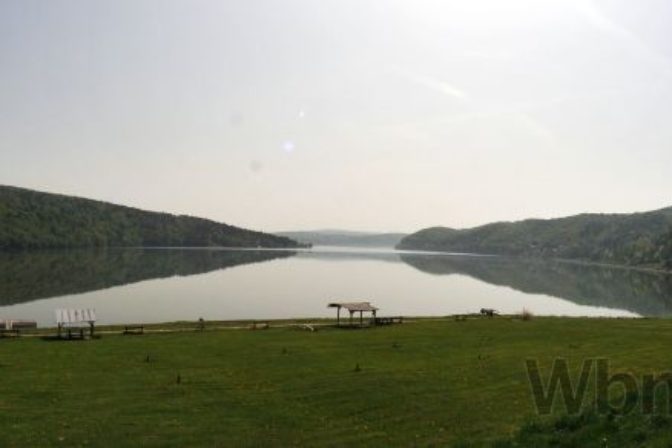 Domasa