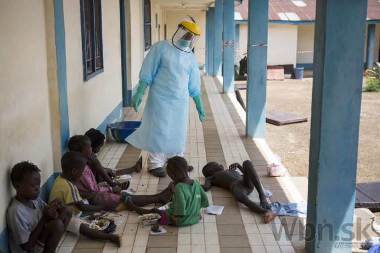 Ebola naháňa strach, počet obetí sa zvyšuje