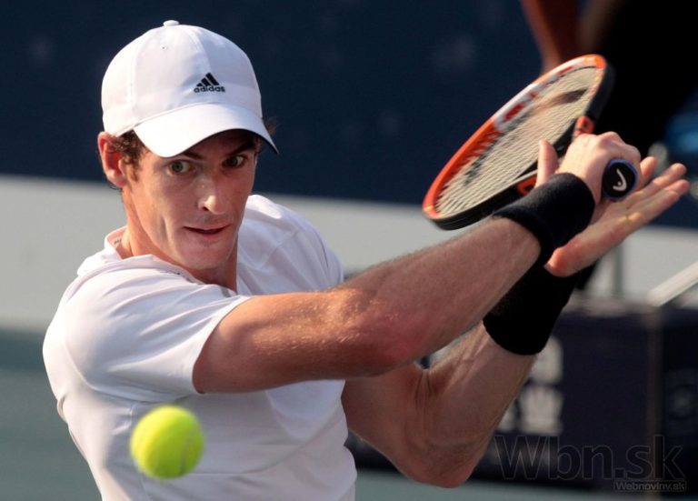 Andy murray