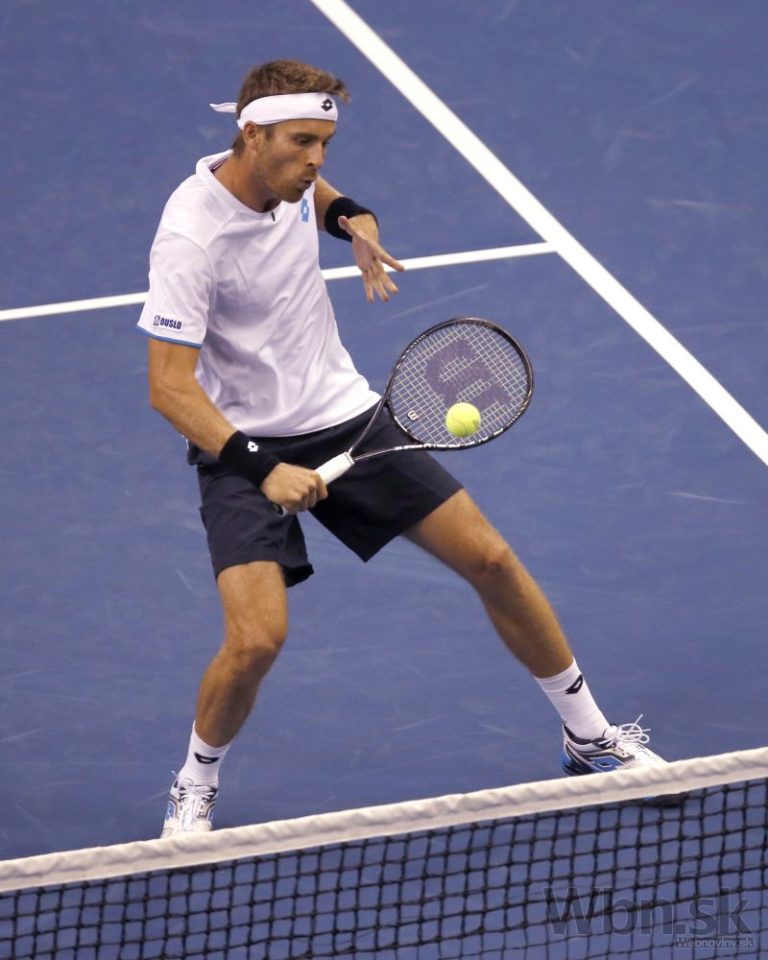 Davis Cup v USA, Slováci nepostúpili medzi elitu