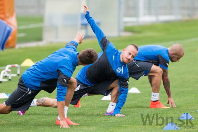 Slovenska futbalova reprezentacia trening