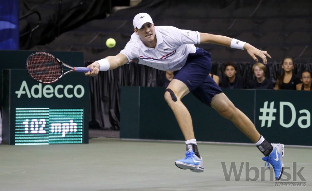 Tenis davis cup isner
