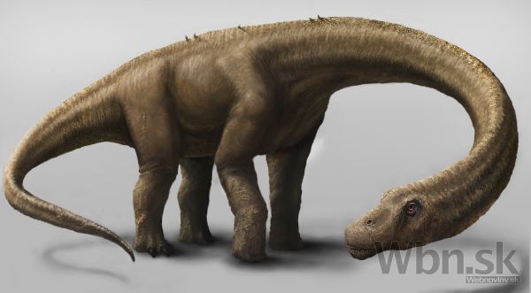 Vedci objavili nového megadinosaura, vážil skoro 60 ton