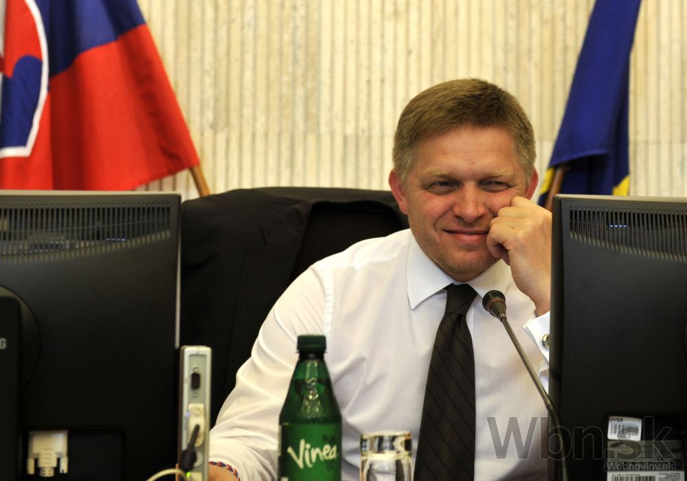 Vlada fico