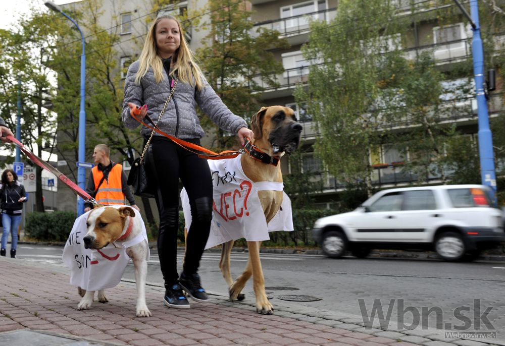 Aktivisti pochodovali za ochranu zvierat