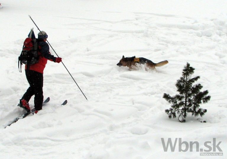 Vysoké Tatry