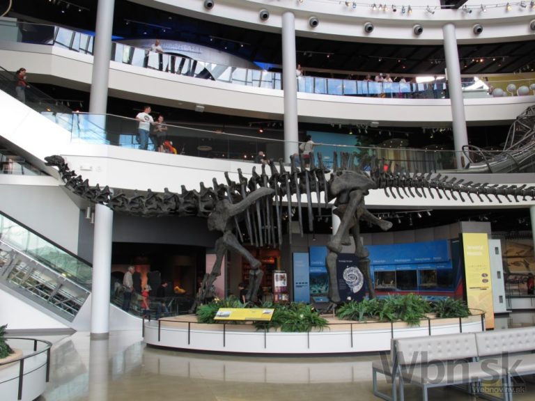 Dinosaurus