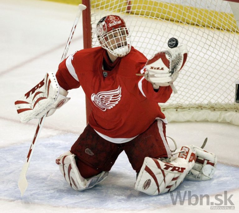 Dominik hasek