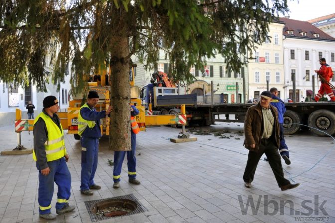 Námestie v Bratislave má nový vianočný stromček
