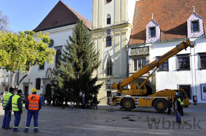 Námestie v Bratislave má nový vianočný stromček