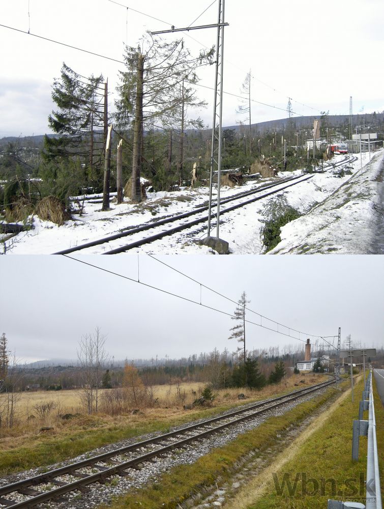 Takto vyzerajú Vysoké Tatry desať rokov po kalamite