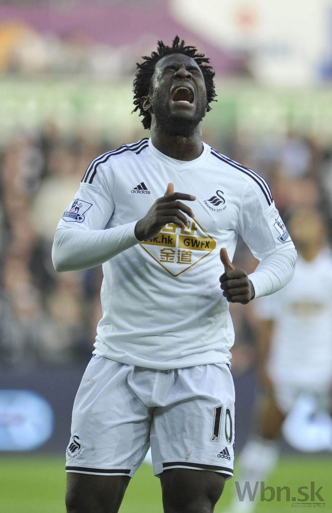 Wilfried Bony