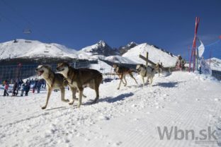 Šiesty ročník podujatia Snežné psy v Tatranskej Lomnici