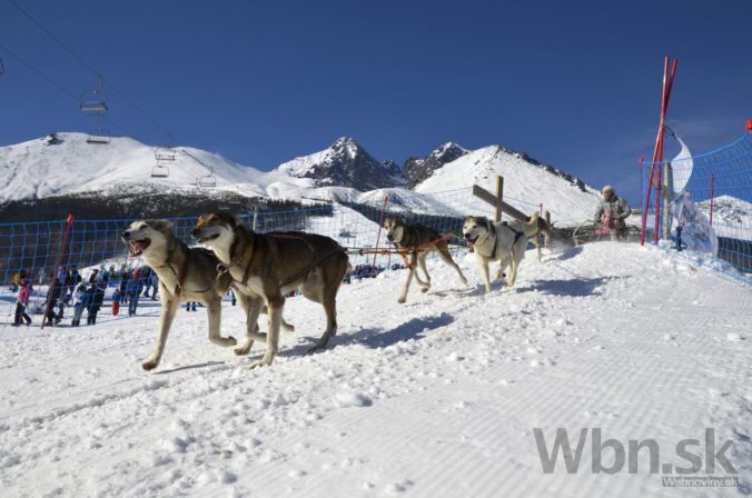Šiesty ročník podujatia Snežné psy v Tatranskej Lomnici