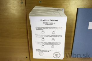 Slováci hlasujú v referende, rozhodujú o rodine