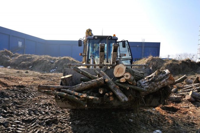 V bratislavskom Novom Meste nelegálne vyrúbali približne sto stromov
