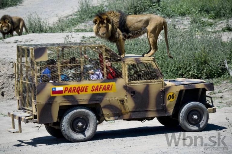 Zoo