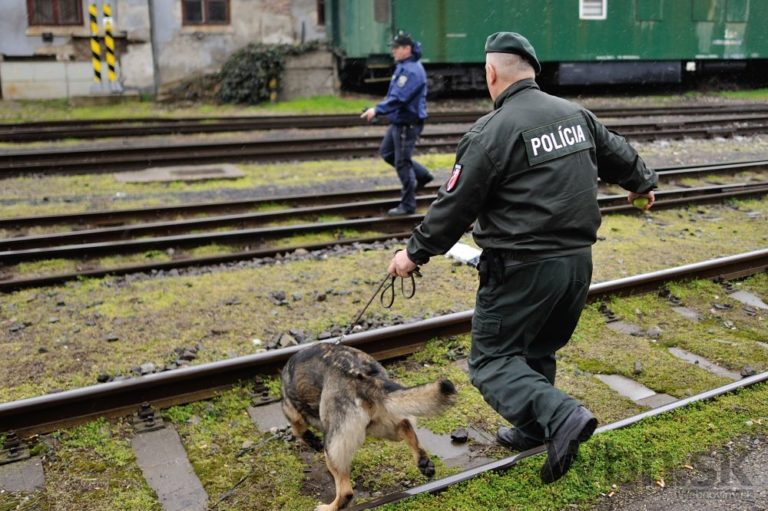 Polícia hľadala drogy vo vlakoch