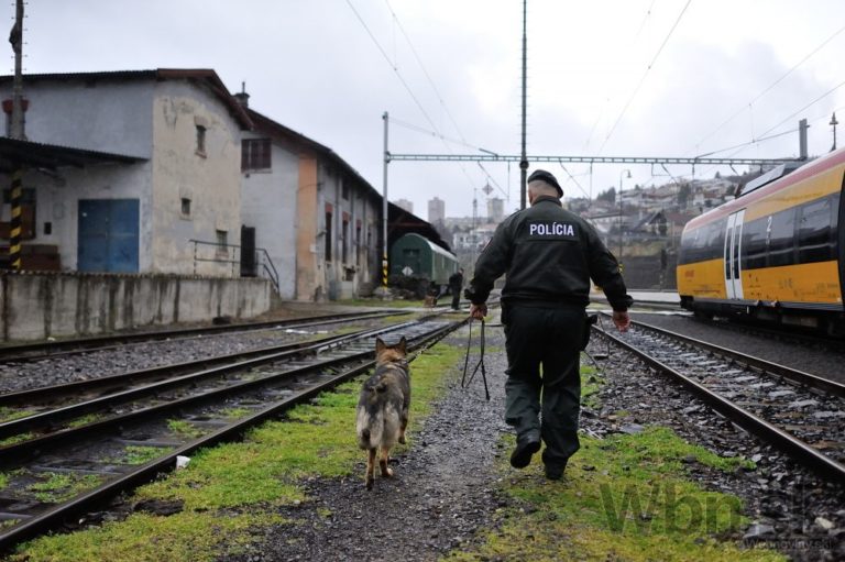 Polícia hľadala drogy vo vlakoch