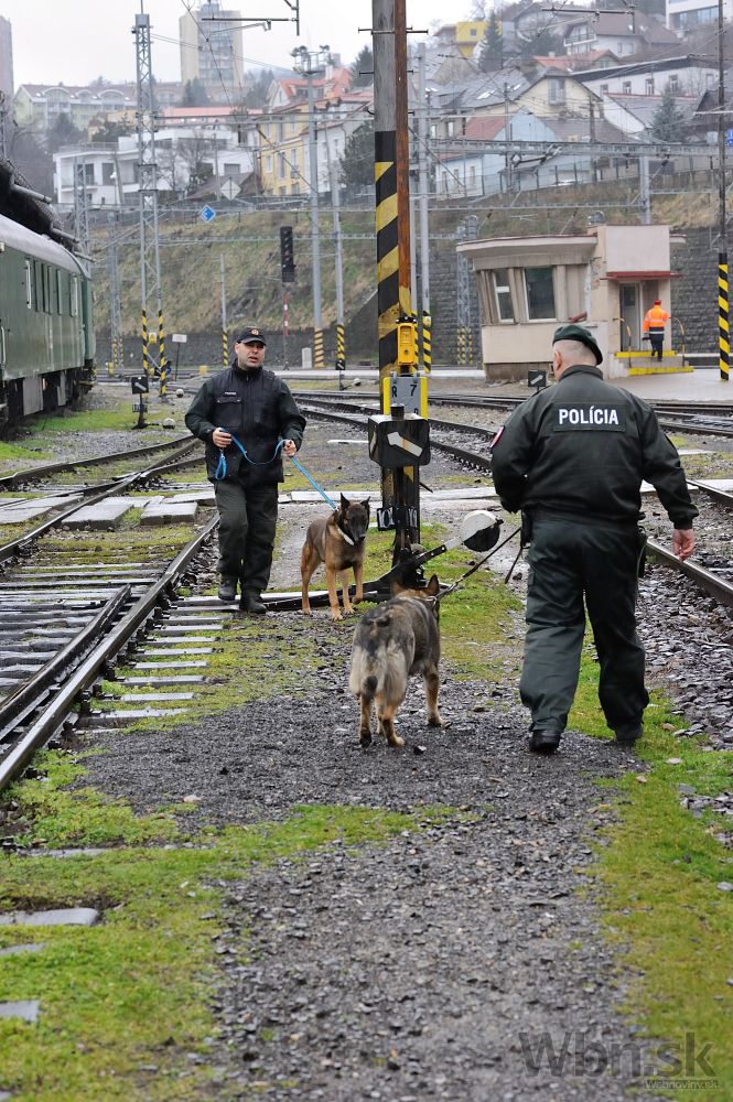 Polícia hľadala drogy vo vlakoch