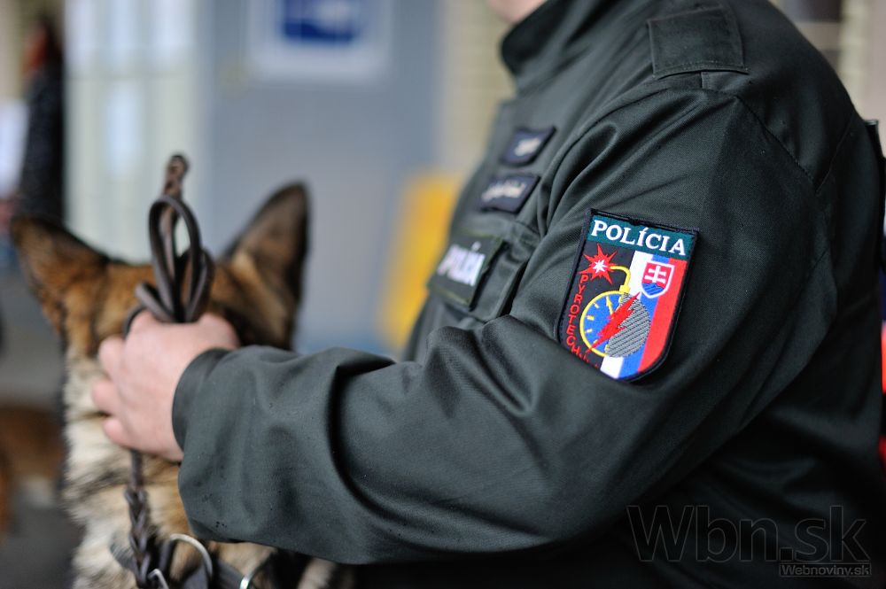 Polícia hľadala drogy vo vlakoch