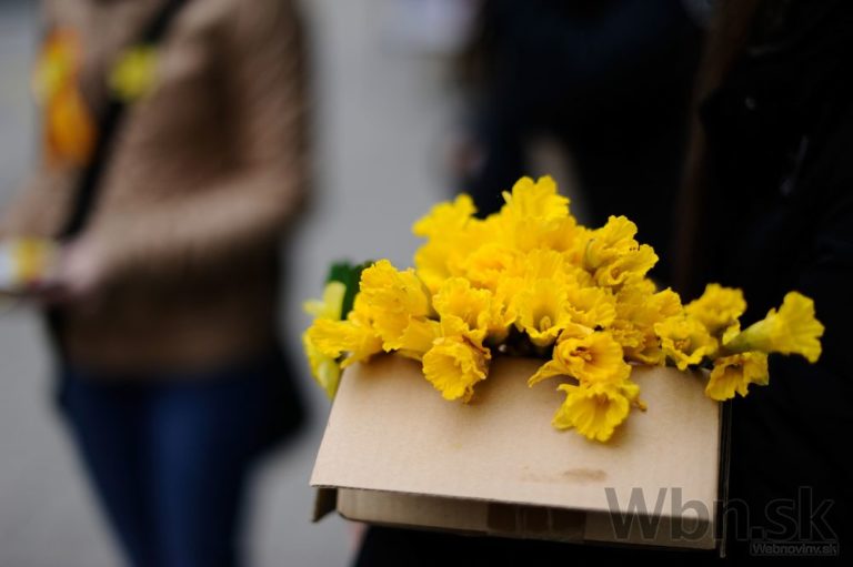 Slovenské ulice zaplavili žlté narcisy