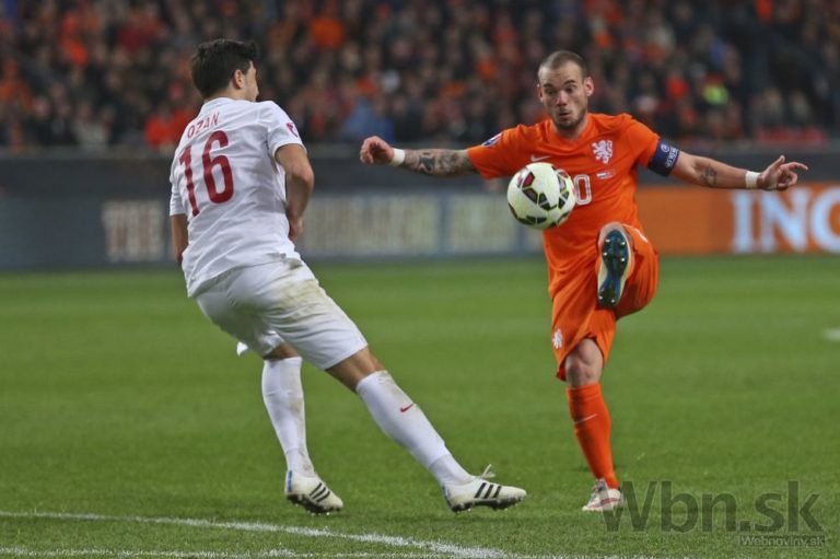 Wesley Sneijder