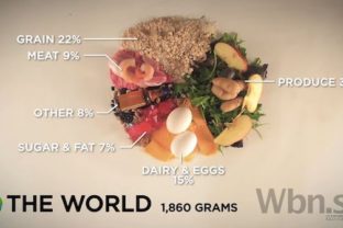 Koľko jedla sa zje vo svete za jeden deň?
