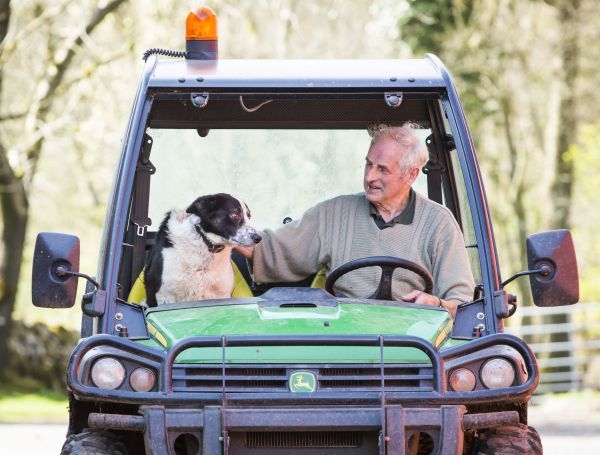 Panika na diaľnici, za volantom rútiaceho sa auta sedel pes