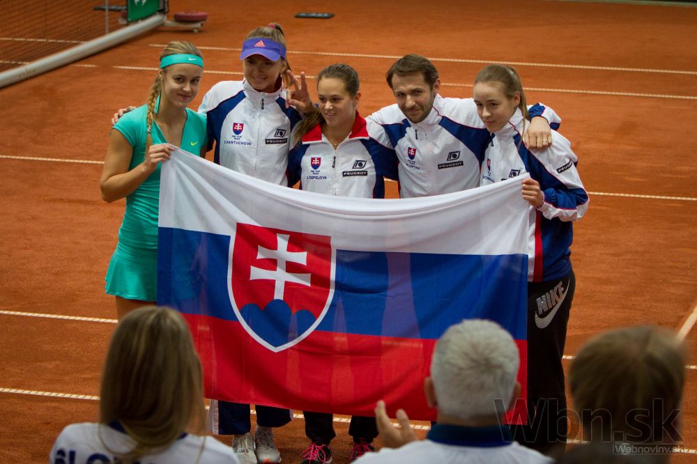 Pohár federácie: Slovensko - Švédsko