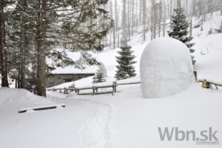 Pri Rainerovej chate vyrástla snehová kraslica