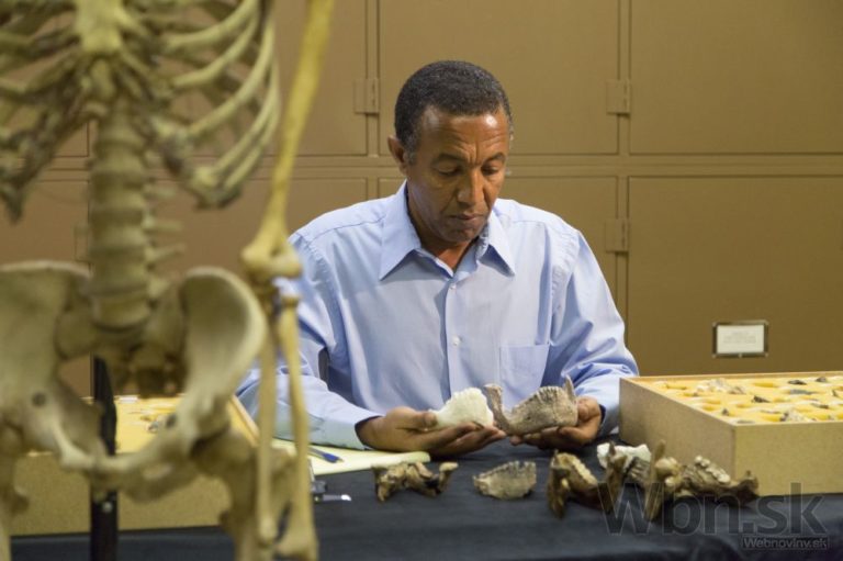 Australopithecus deyiremeda