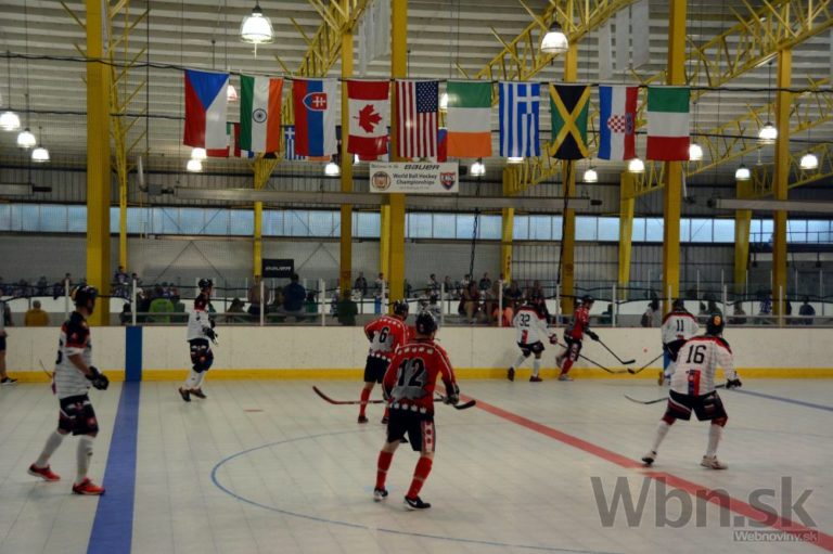 Hokejbal