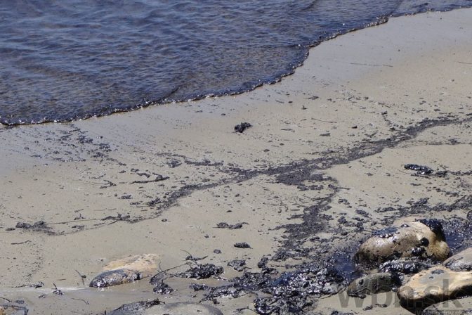 Pláže v Kalifornii zaliala ropa