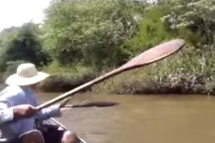Výletníci v rieke objavili obrovského hada