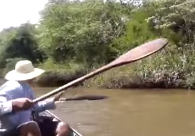 Výletníci v rieke objavili obrovského hada