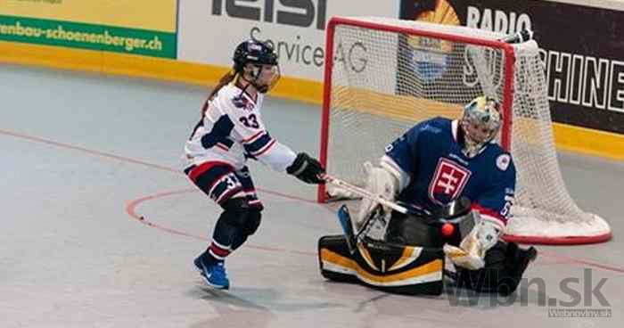 Hokejbal