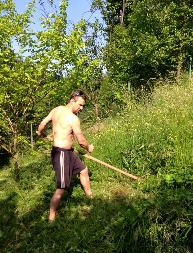 Martin Fedor