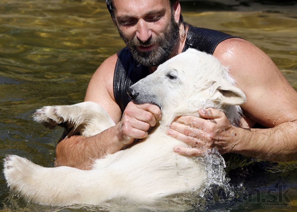 Odvrhnutý Knut sa zaobišiel aj bez matky