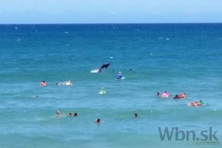 Austrália zatvára pláže, žralok napadol ďalšieho surfistu