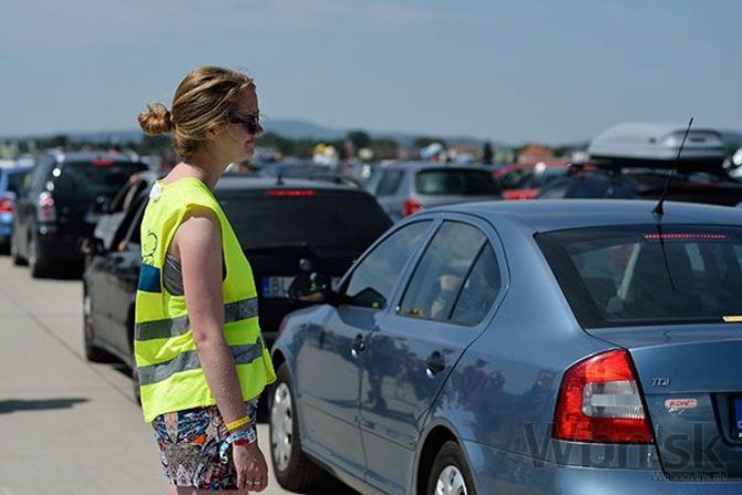 Bažant Pohoda 2015