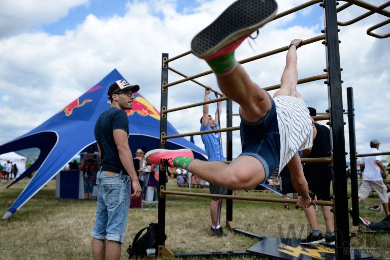 Bažant Pohoda 2015