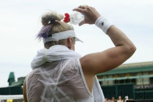 Najkrajšie momenty z piateho dňa Wimbledonu