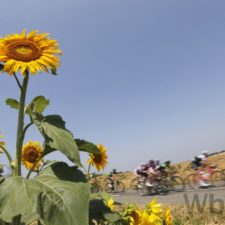 Najkrajšie momenty z trinástej etapy Tour de France