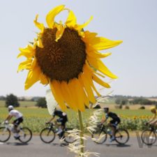 Najkrajšie momenty z trinástej etapy Tour de France